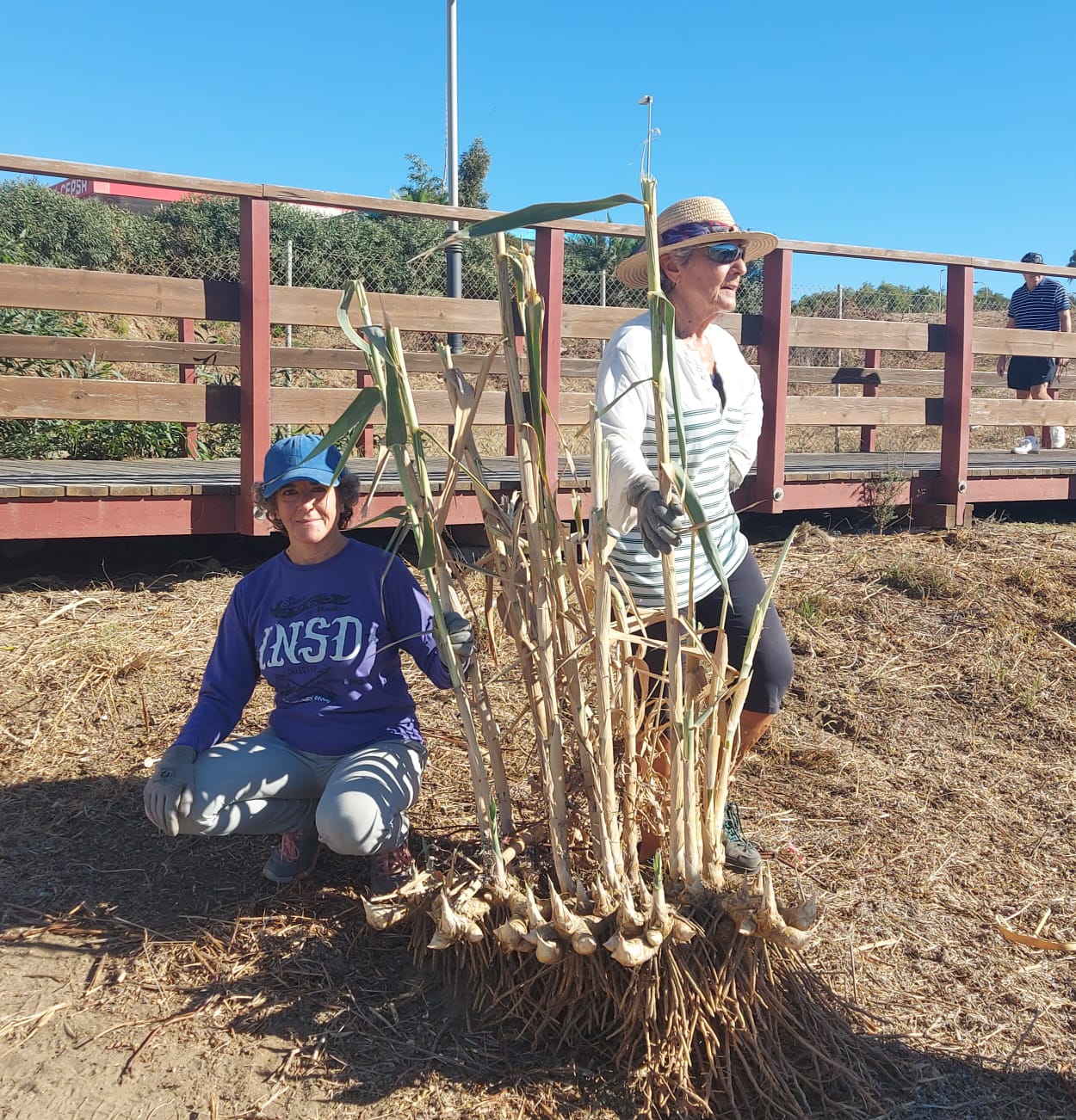 WhatsApp Image 2025-10-21 at 18.56.38 (2)