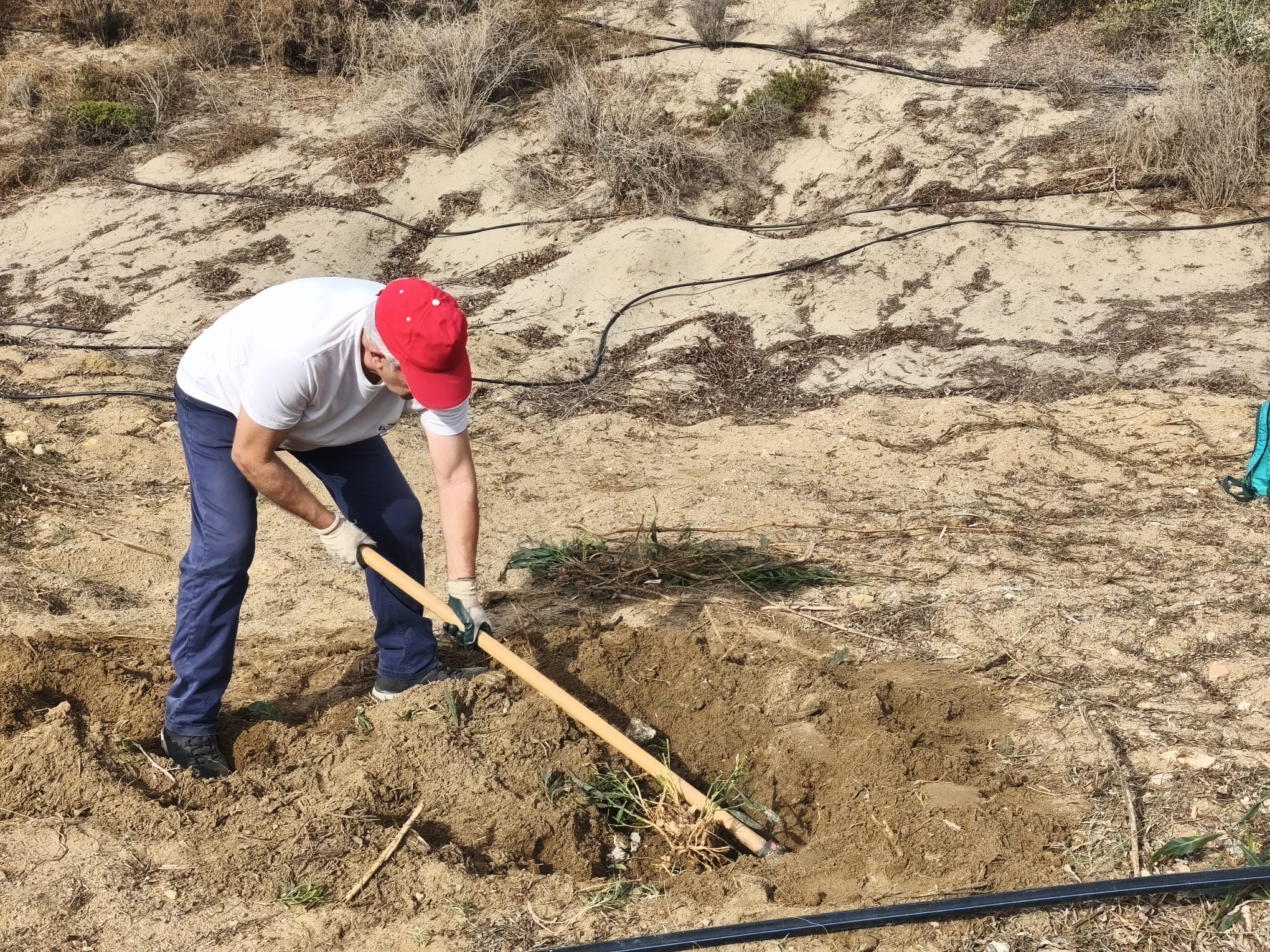 WhatsApp Image 2025-11-06 at 12.12.37