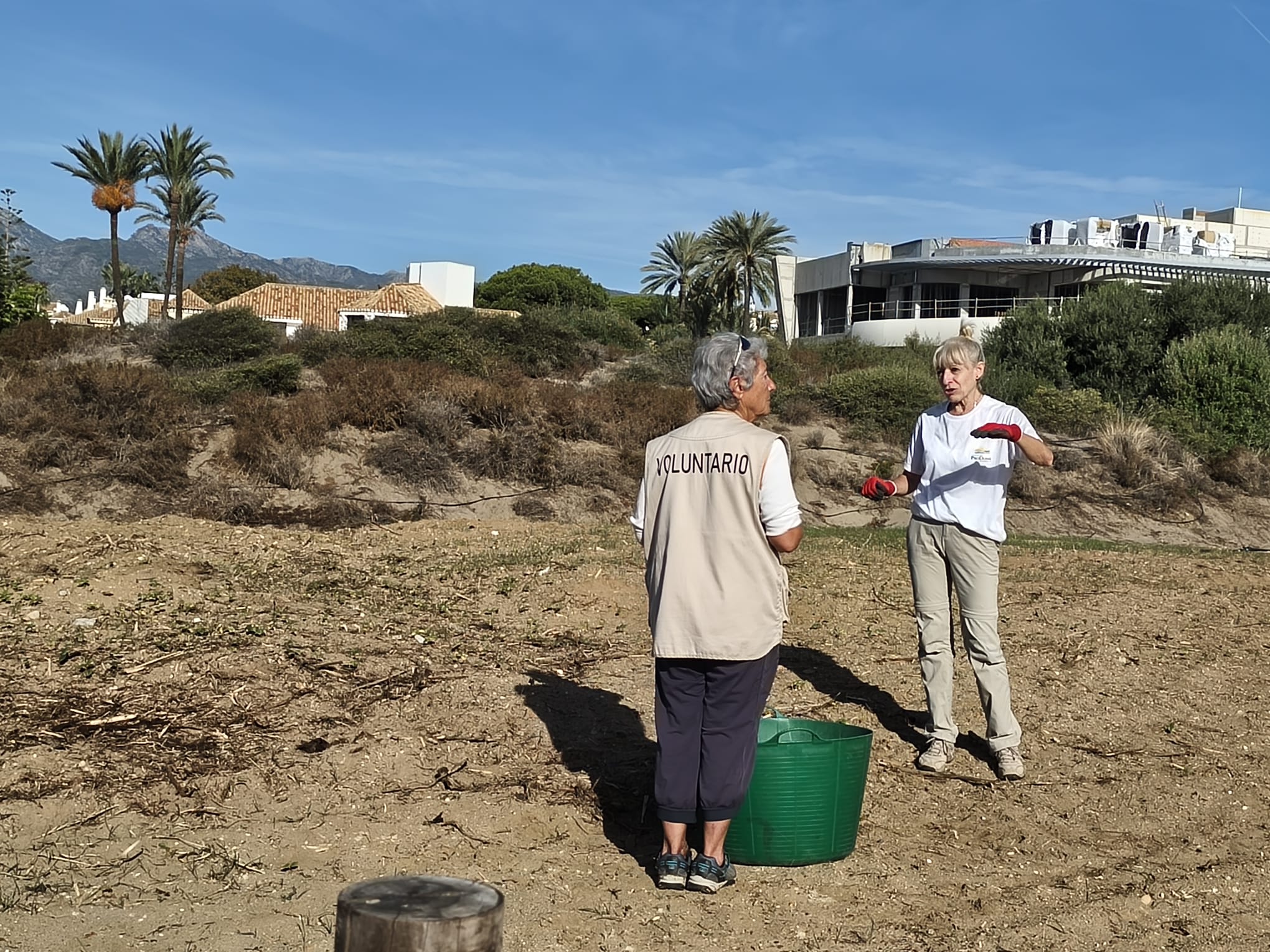 WhatsApp Image 2025-11-11 at 11.31.17 (3)