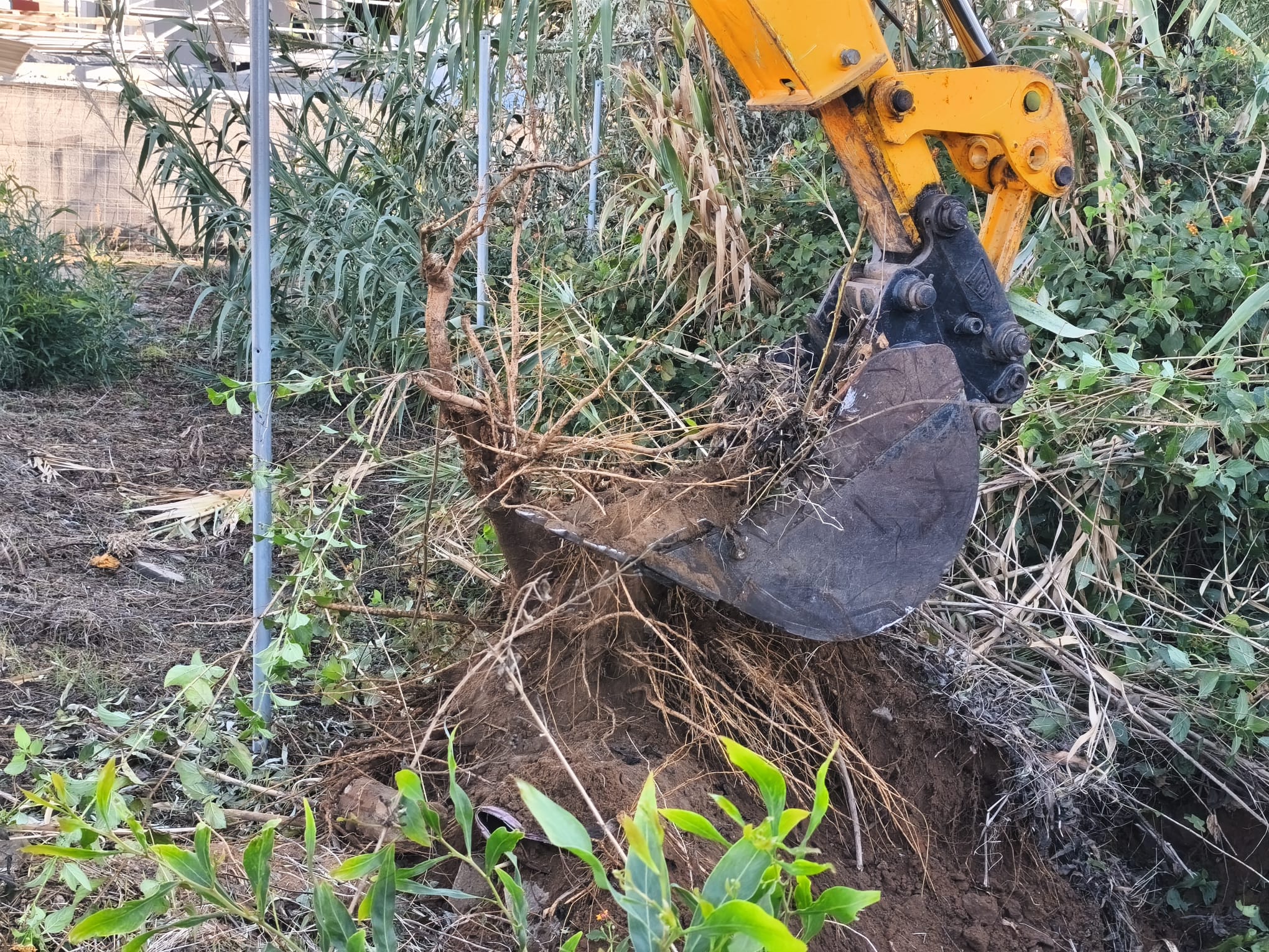 WhatsApp Image 2025-11-11 at 11.31.36 (2)