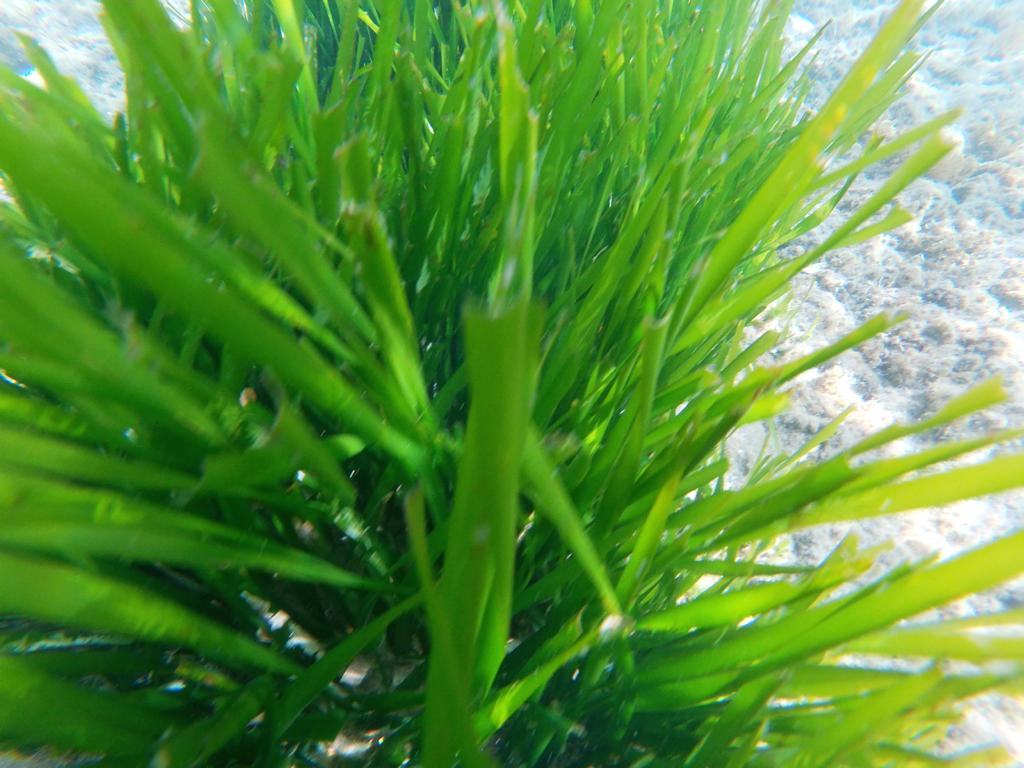 491960450_1118621326978274_2357284229526619928_n (1)