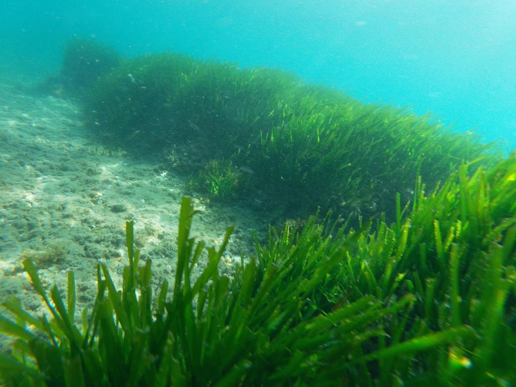 492032411_1118621333644940_5685935321015877165_n