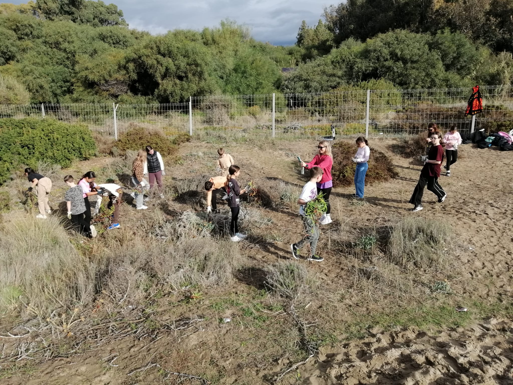 WhatsApp Image 2025-12-01 at 13.13.29 (5)