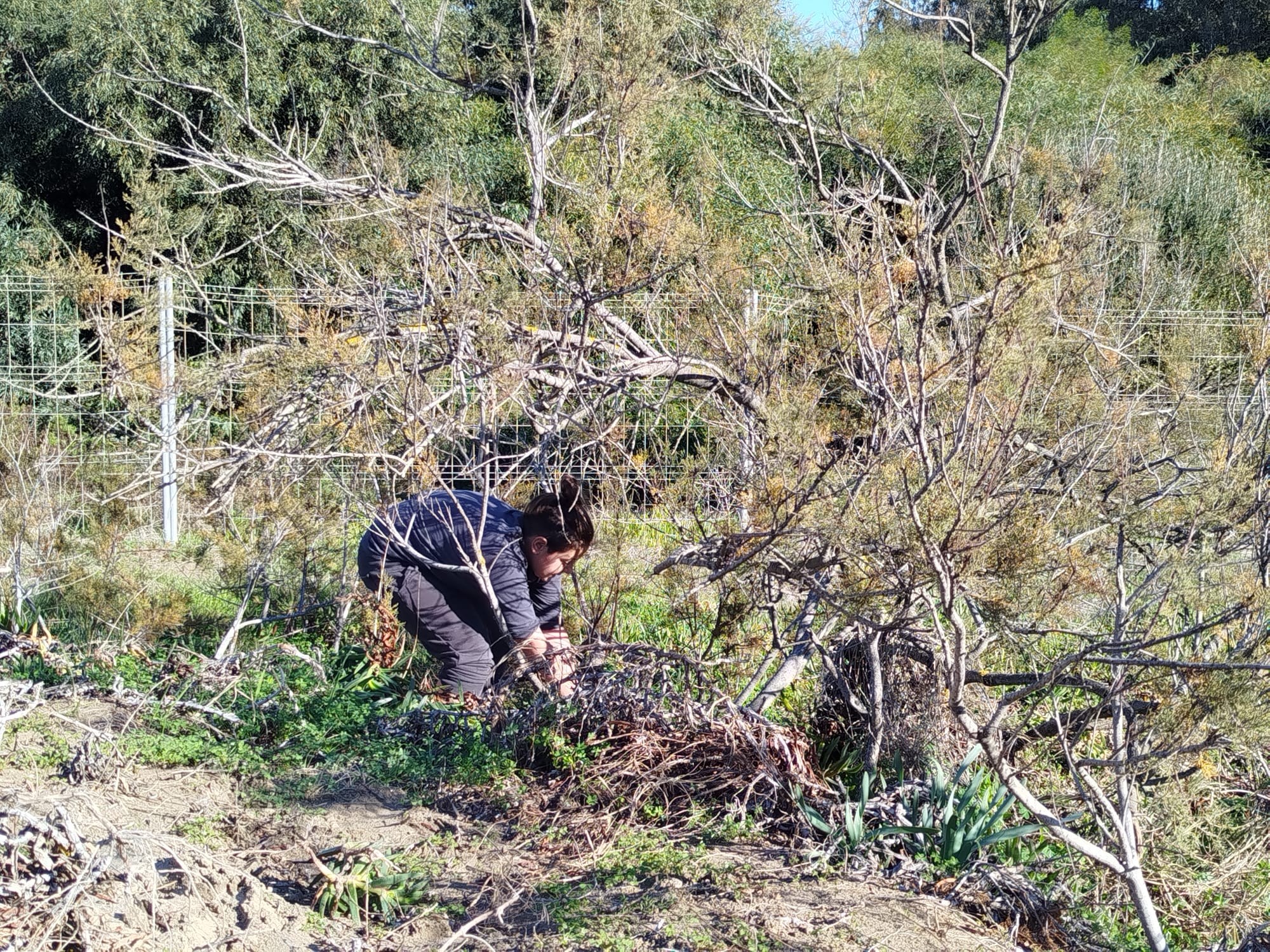 WhatsApp Image 2025-12-06 at 20.31.27 (1)