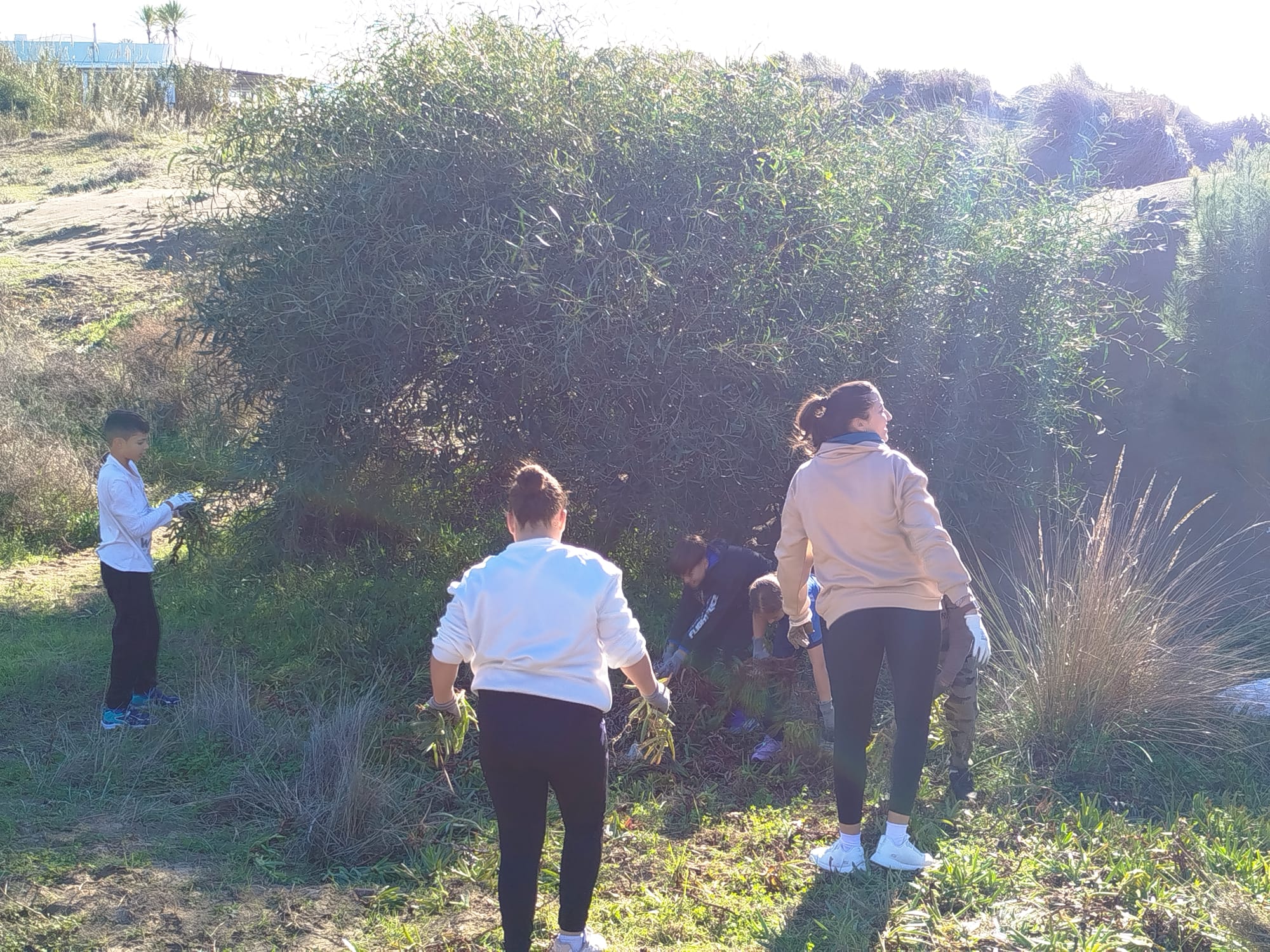 WhatsApp Image 2025-12-06 at 20.31.27