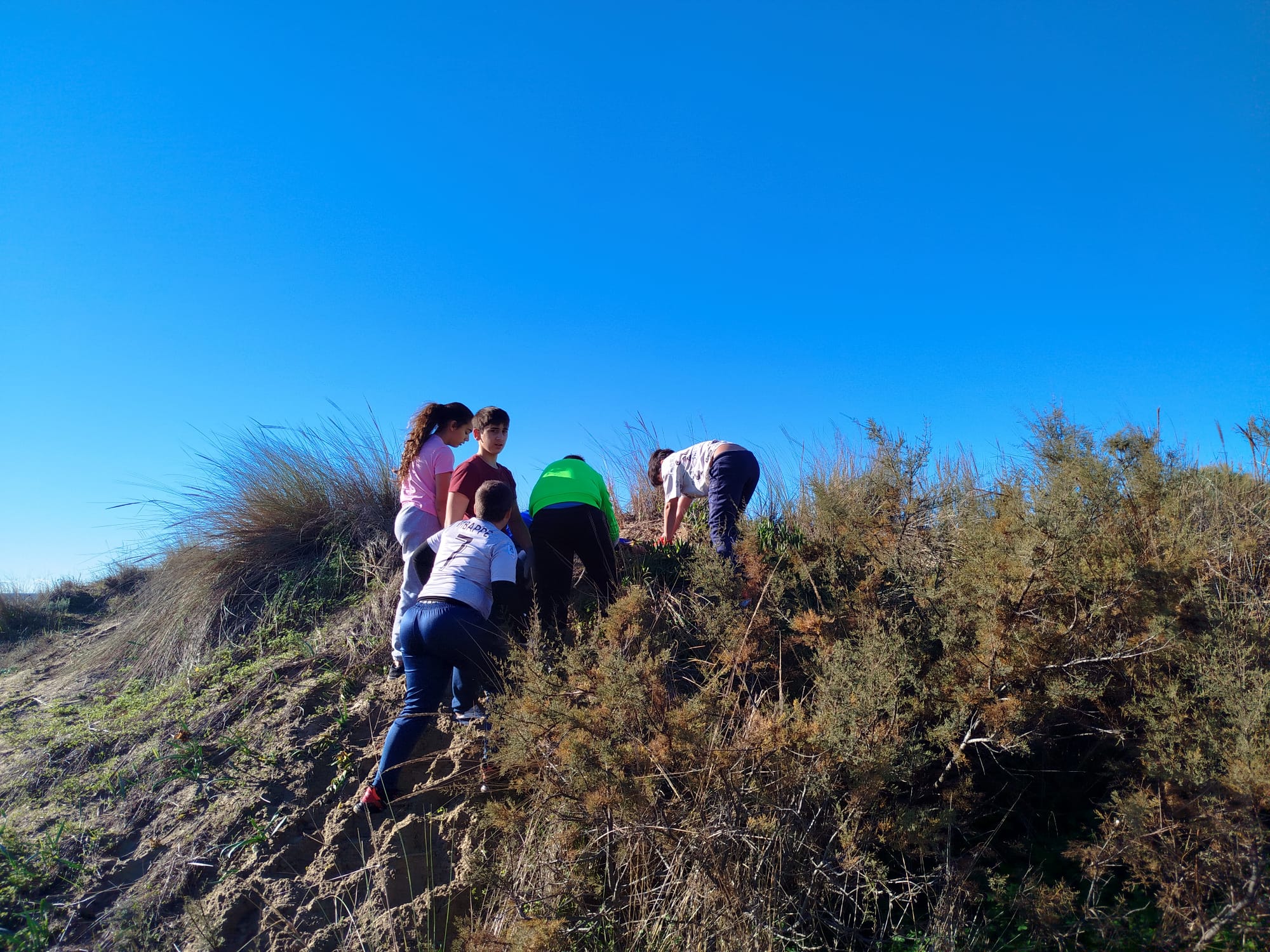 WhatsApp Image 2025-12-06 at 20.31.27 (8)