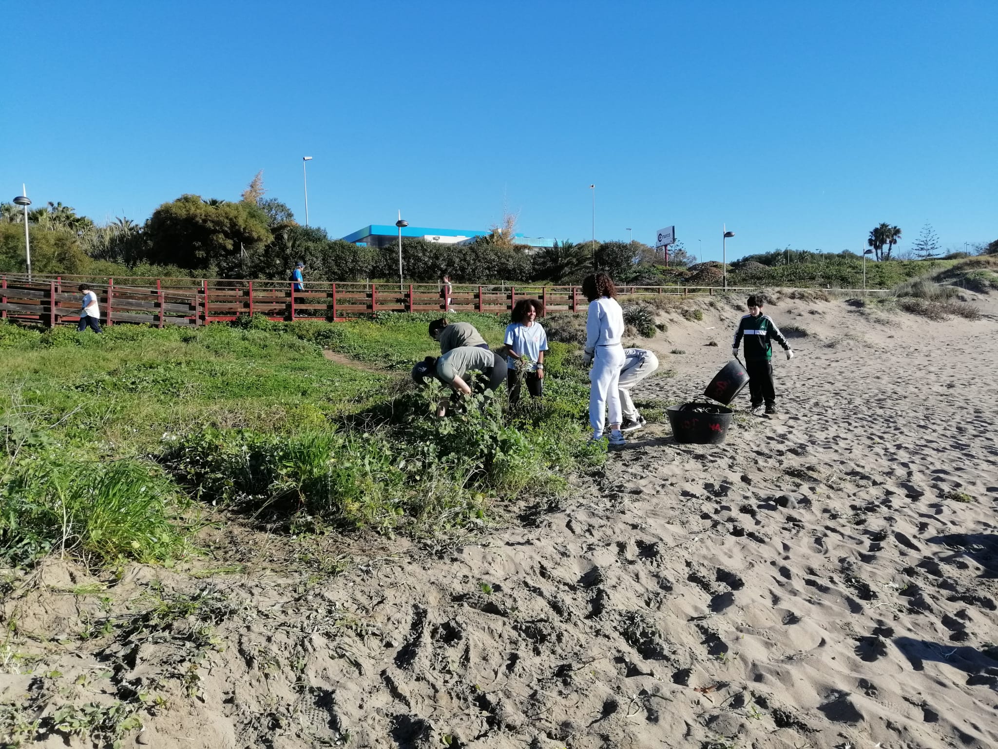 WhatsApp Image 2026-02-17 at 13.25.08 (1)