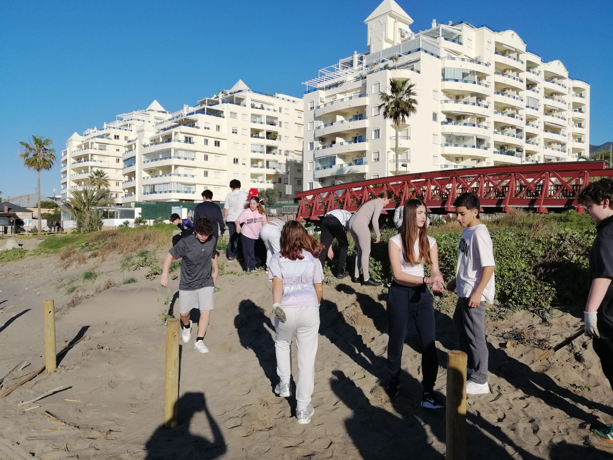 WhatsApp Image 2026-02-17 at 13.25.09 (1)