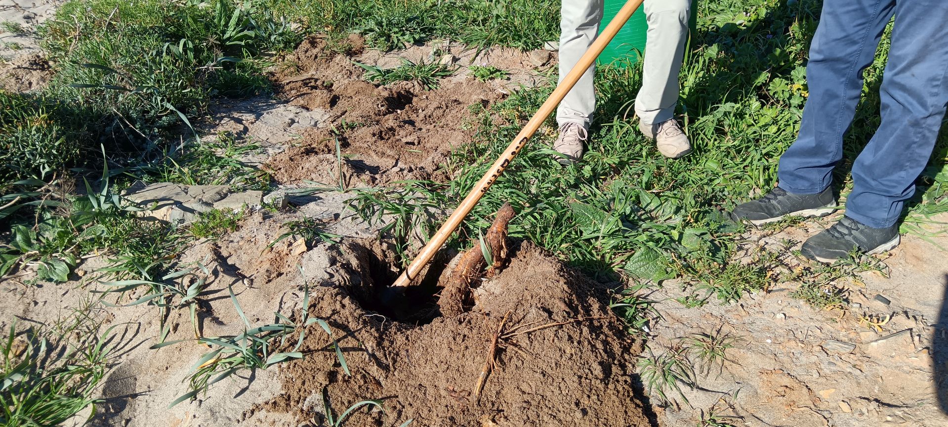 WhatsApp Image 2026-02-17 at 13.34.24 (1)