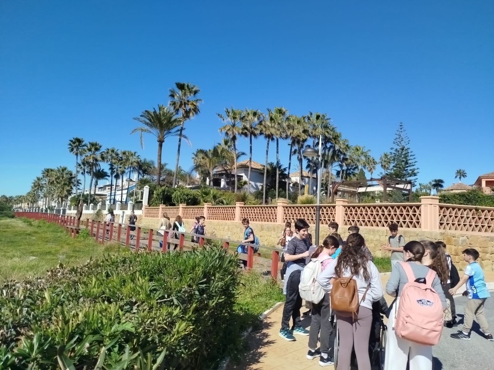 WhatsApp Image 2026-02-17 at 13.34.31