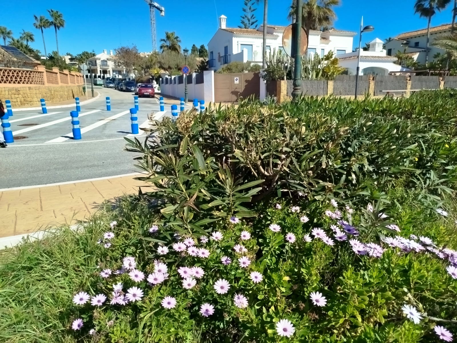 WhatsApp Image 2026-02-17 at 13.34.33