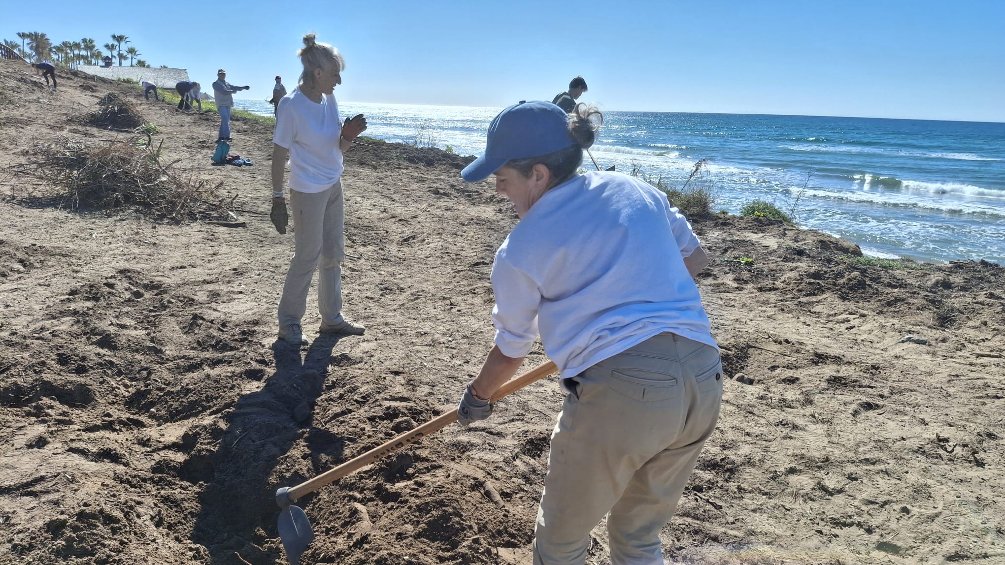 WhatsApp Image 2026-03-17 at 14.29.35 (2)