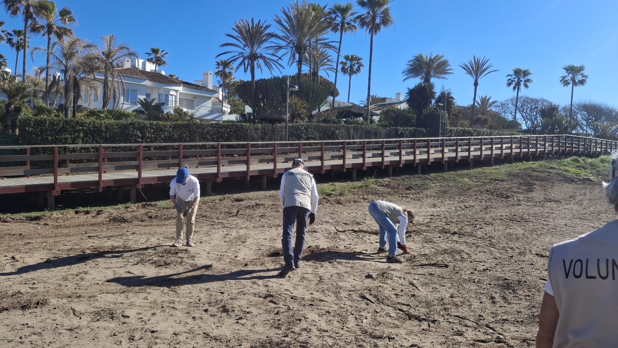 WhatsApp Image 2026-03-17 at 14.29.37