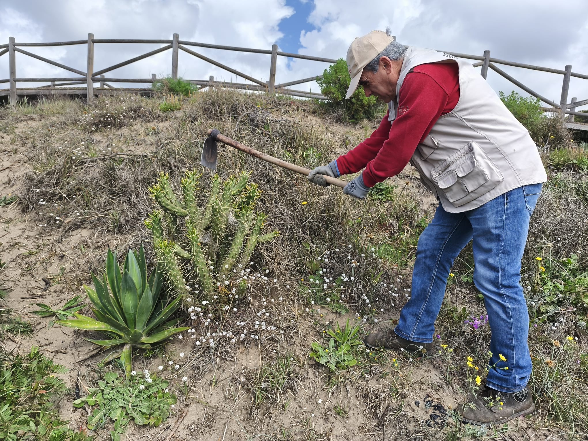 WhatsApp Image 2026-03-24 at 22.44.26