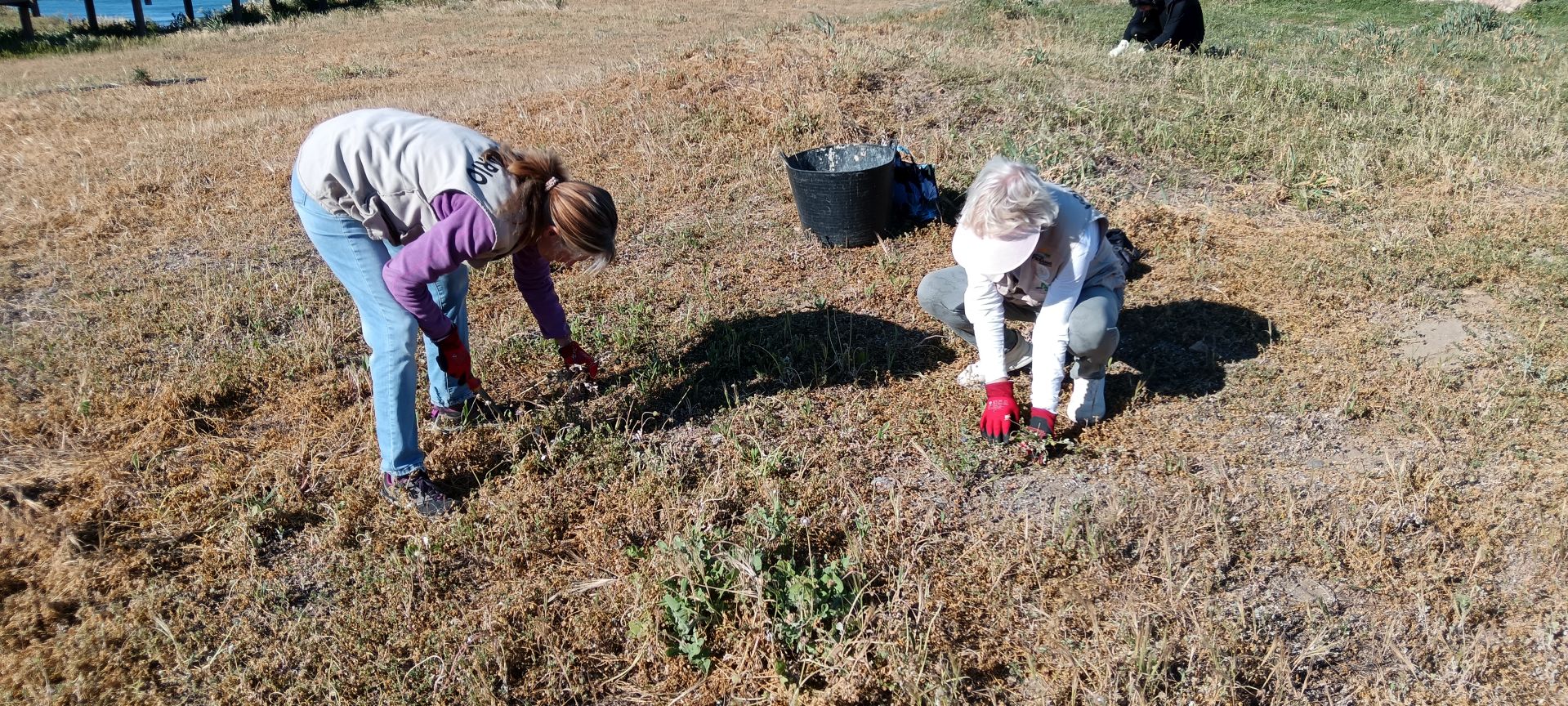 WhatsApp Image 2026-04-14 at 15.04.01 (1)