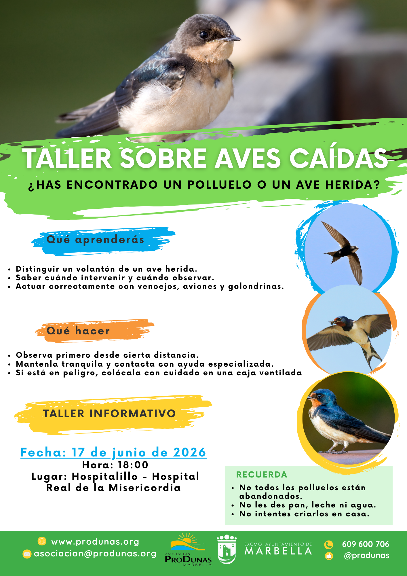 flyer produnas+ logo (2)